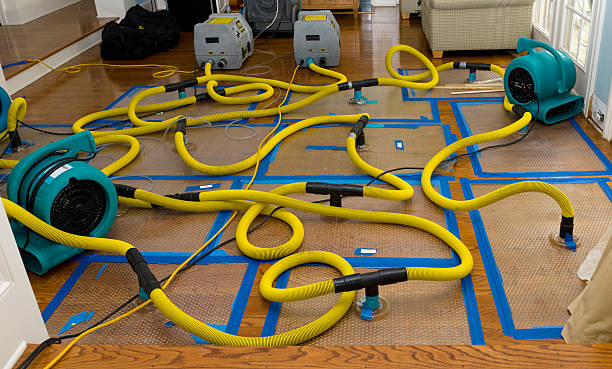 Professional Crawl Space Water Removal technician working in New Carlisle, IN